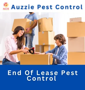 End Of Lease Pest Control