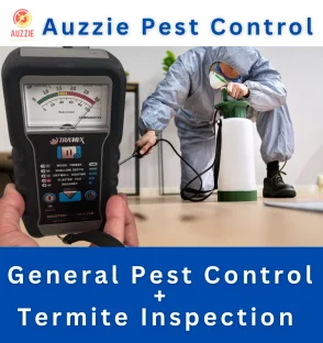 Pest Control + Termite Inspection