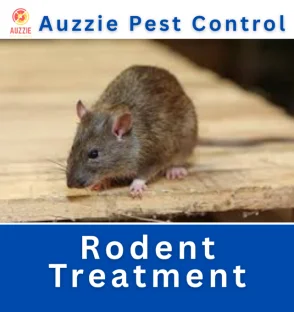 Rodent Treatment