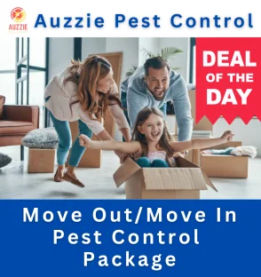 Move In Move Out Pest Control Package