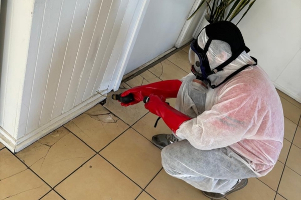 Ant Insecticide Dust