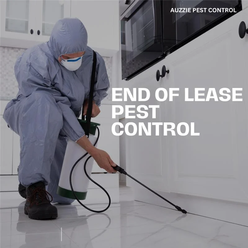 Get In Touch for End Of Lease Pest Control