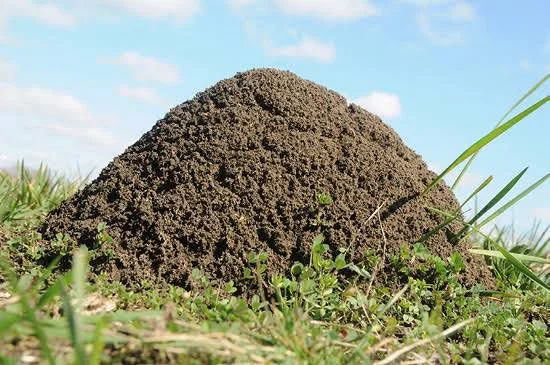 Mound Treatments