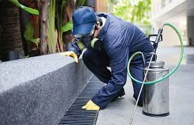 Pest Control Certificate