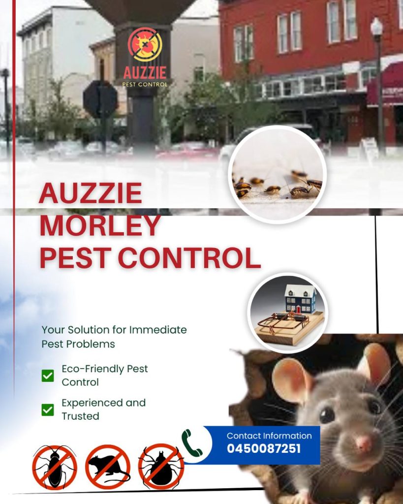 Pest Control Morley