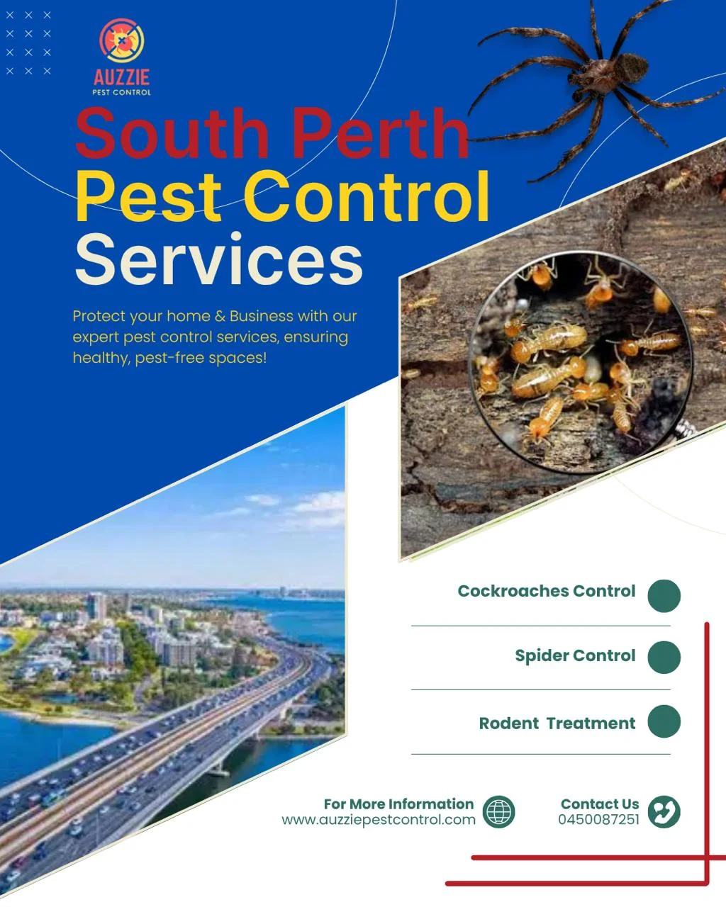 Pest Control South Perth