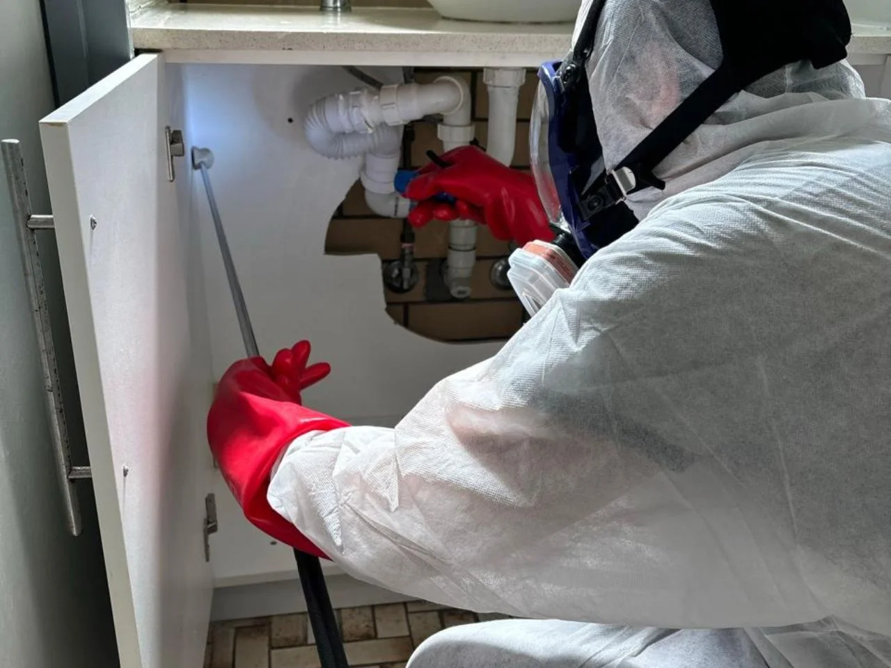 Termite Treatment