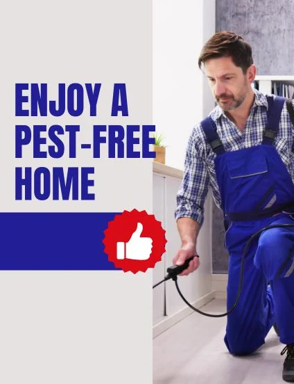 Welcome to Auzzie Pest Control