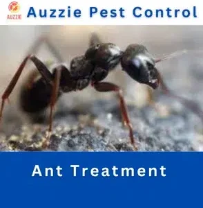 General Pest Control