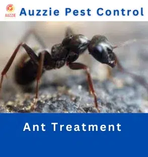 General Pest Control