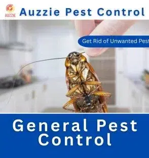 General Pest Control