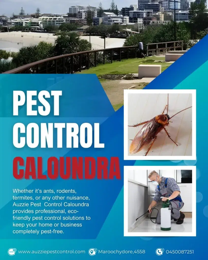 Pest Control Caloundra