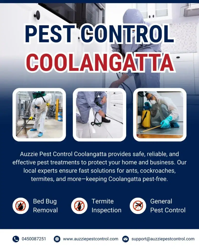 Pest Control Coolangatta