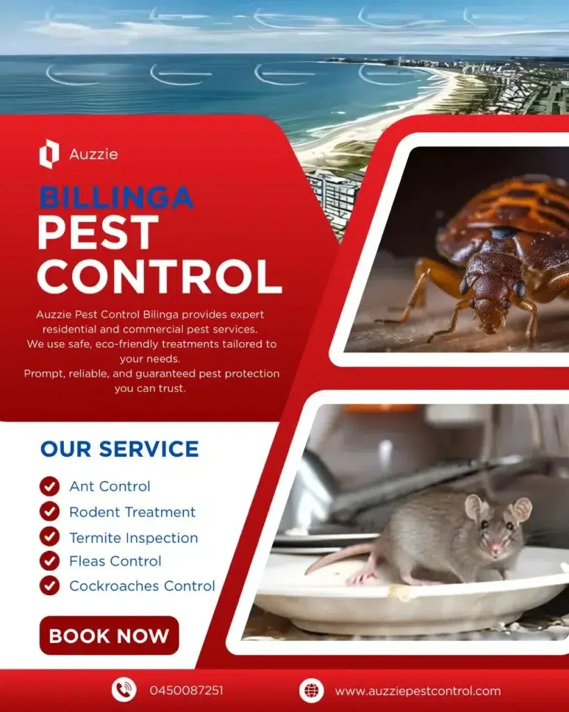 Pest Control In Bilinga