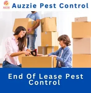 End Of Lease Pest Control