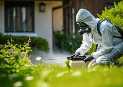 End Of Lease Pest Control