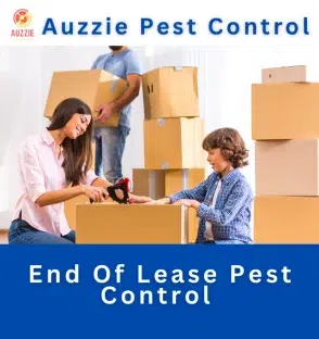 End Of Lease Pest Control