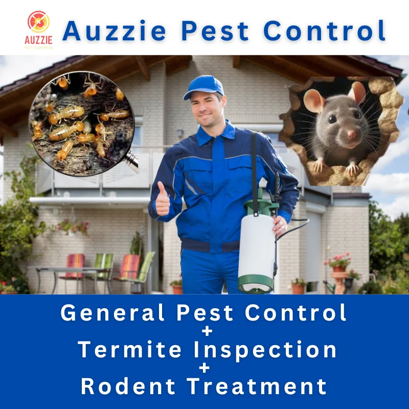 General Pest Control + Termite Inspection + Rodent Treatment