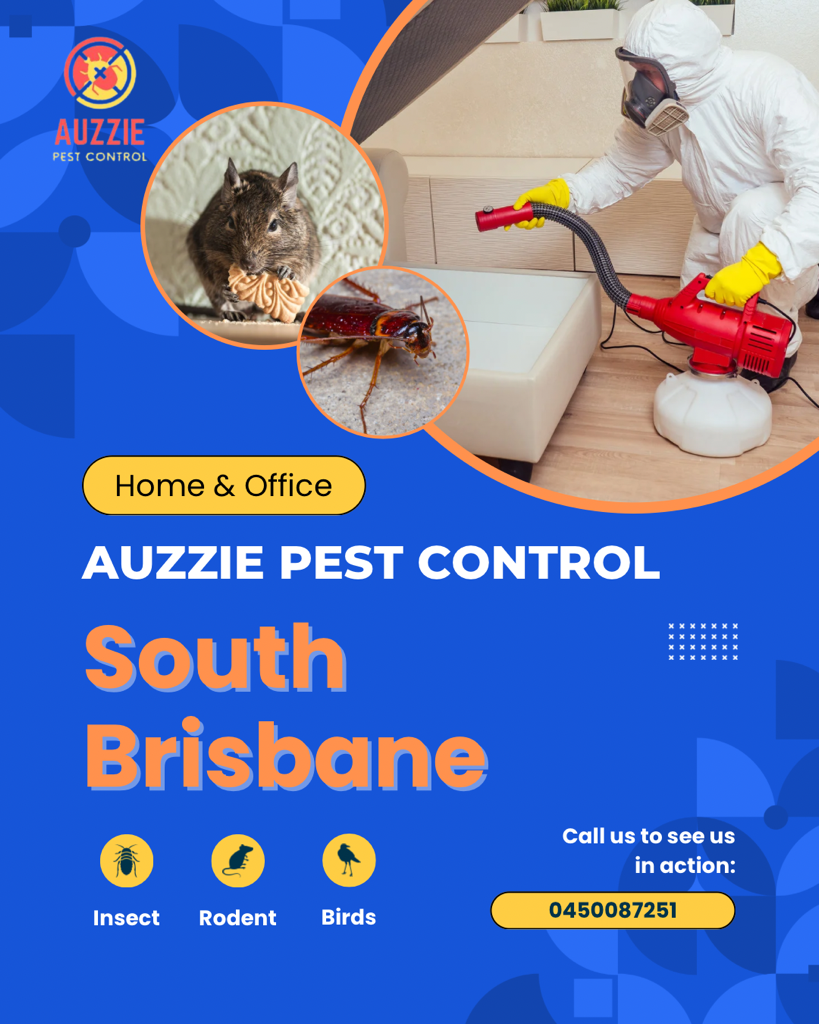 Pest Control South Brisbane