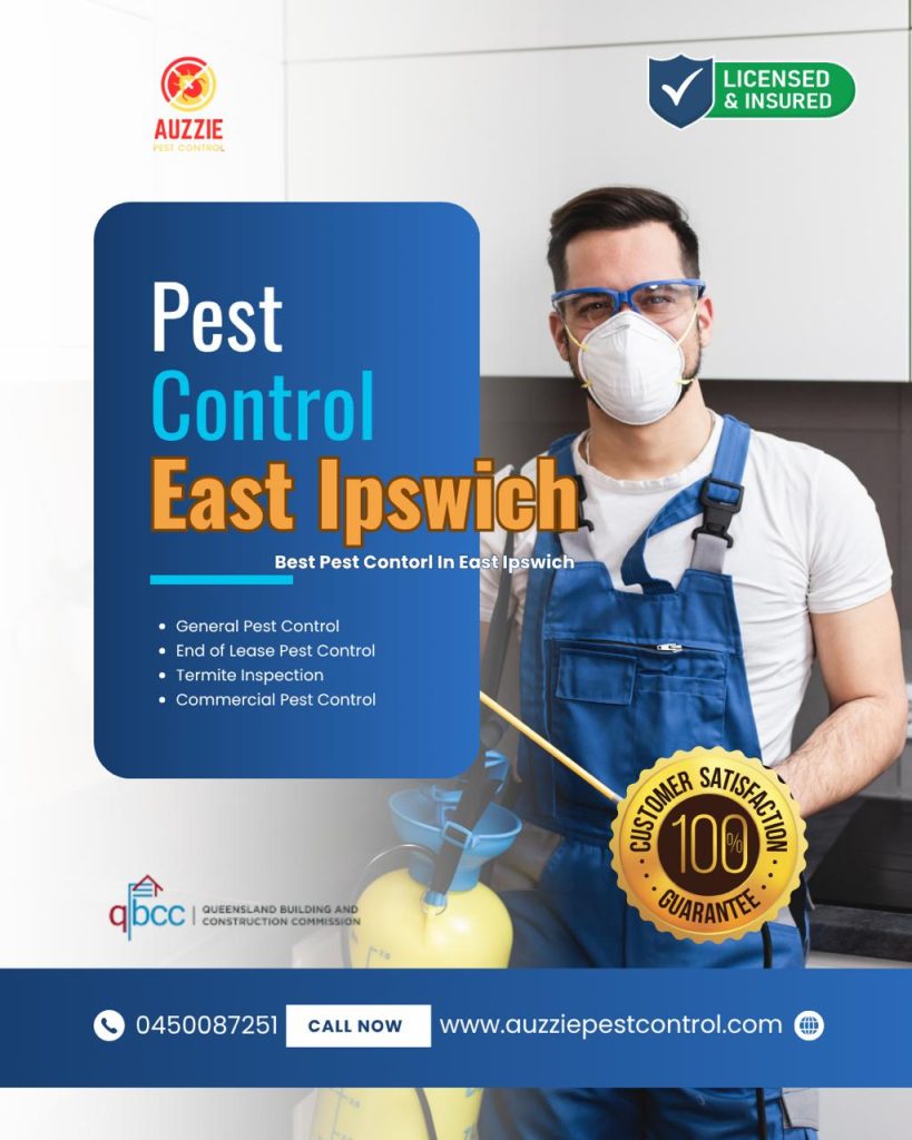 Pest Control In East Ipswich