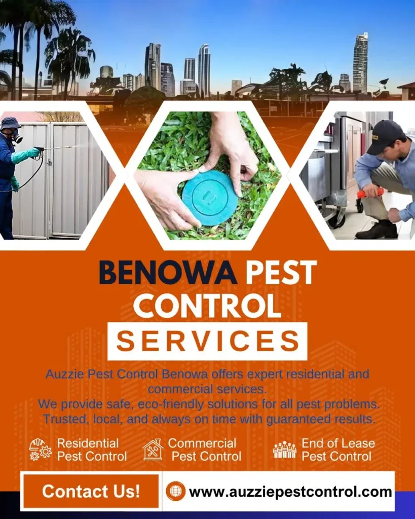 Pest Control In Benowa
