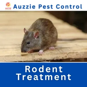 Rodent Treatment