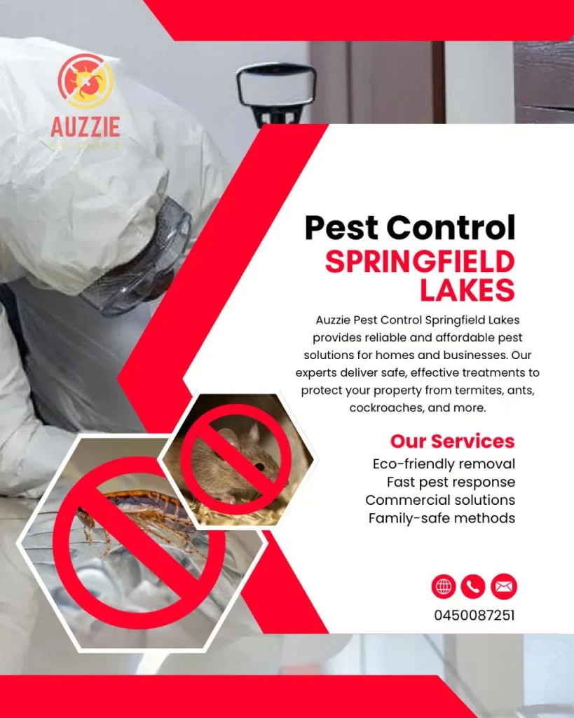 Pest Control Springfield Lakes