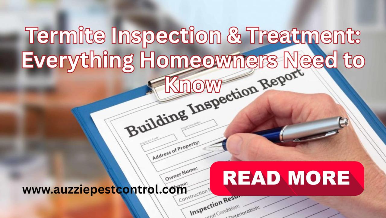 Termite Inspection & Treatment: Everything Homeowners Need to Know