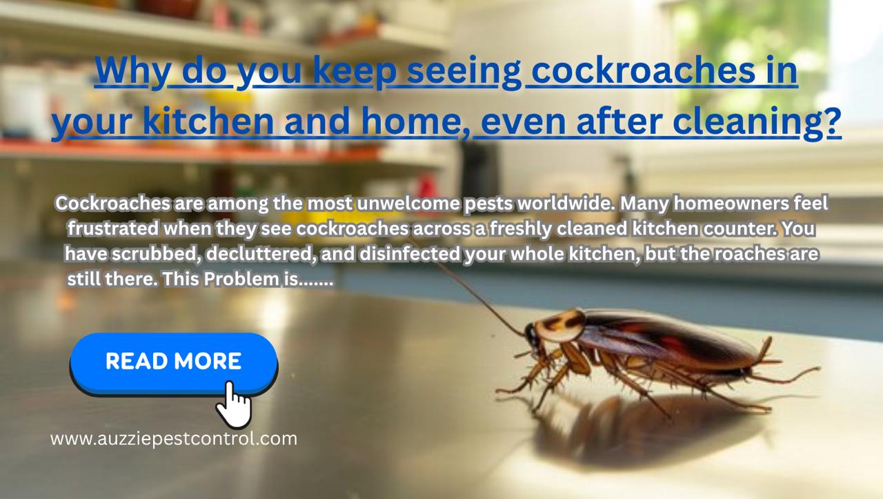 Why do you keep seeing cockroaches in your kitchen and home, even after cleaning?