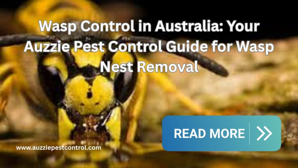 Wasp Control in Australia: Your Auzzie Pest Control Guide for Wasp Nest Removal