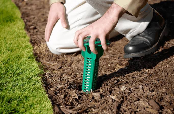 Termite Treatment