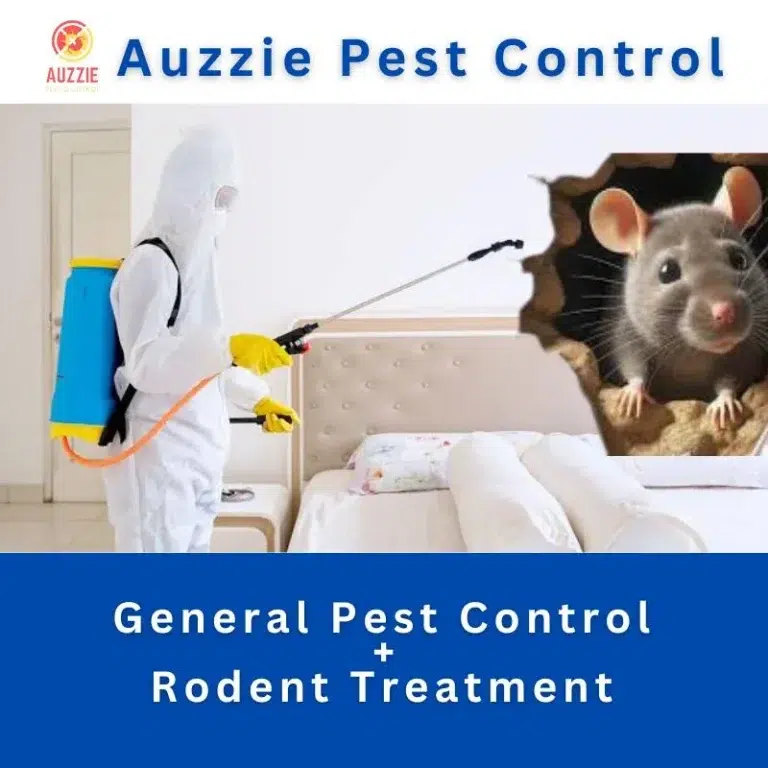 General Pest Control + Rodent Treatment