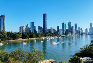 Pest Control Brisbane