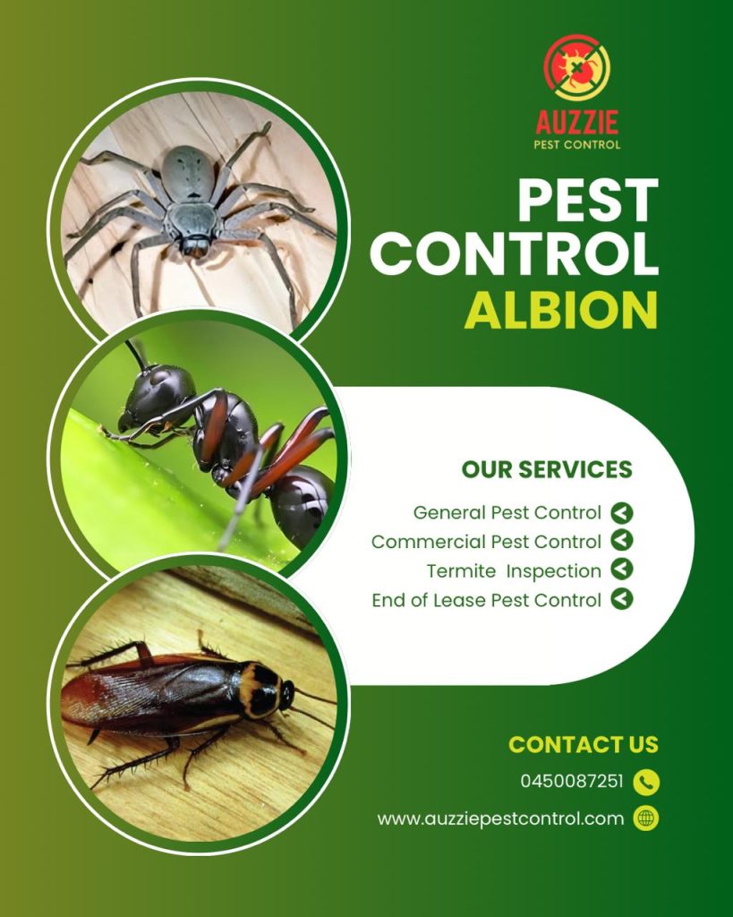 Pest control services in Albion.