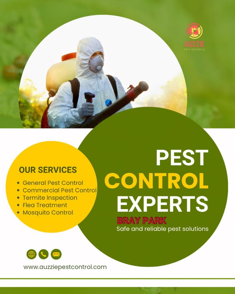 Pest Control Services in Bray Park