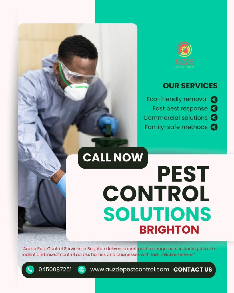 Pest control services in Brighton
