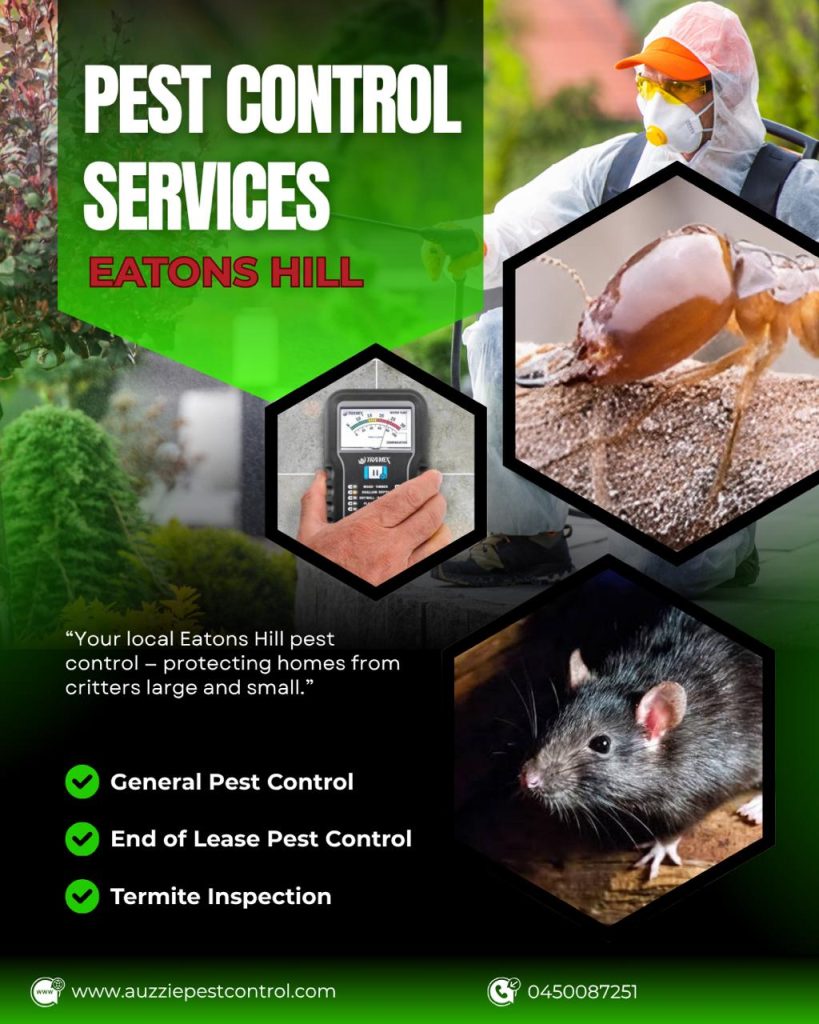 Pest control services Eatons Hill