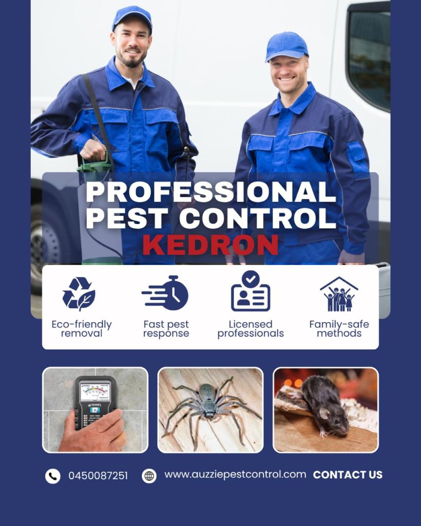 Pest Control Services in Kedron