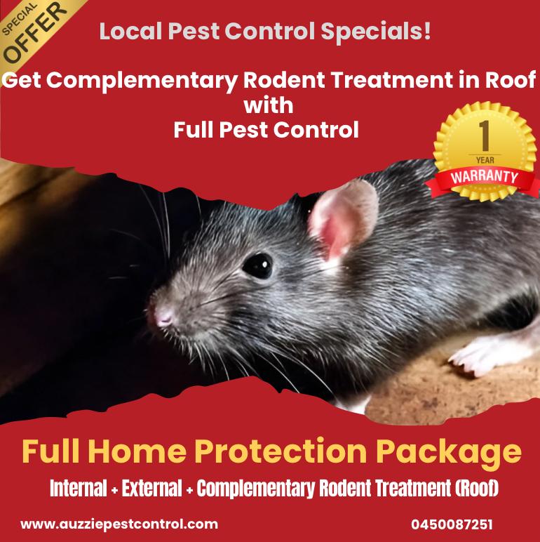 General Pest Control Offer