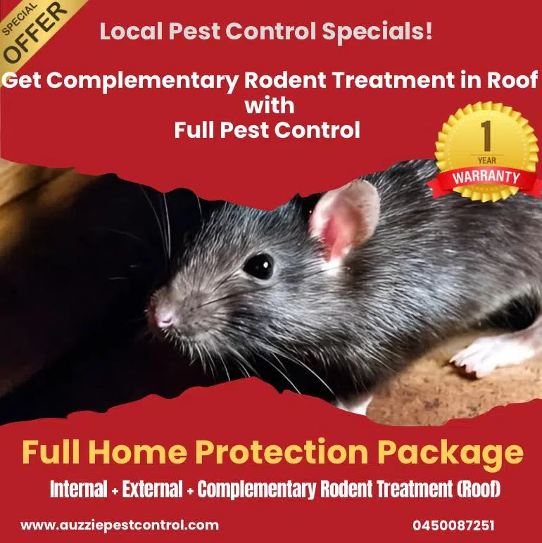 General Pest Control Offer