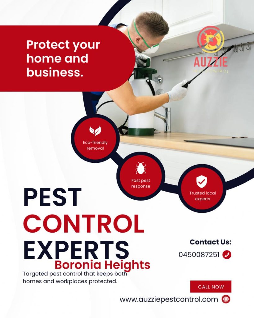 Pest Control Services Boronia Heights