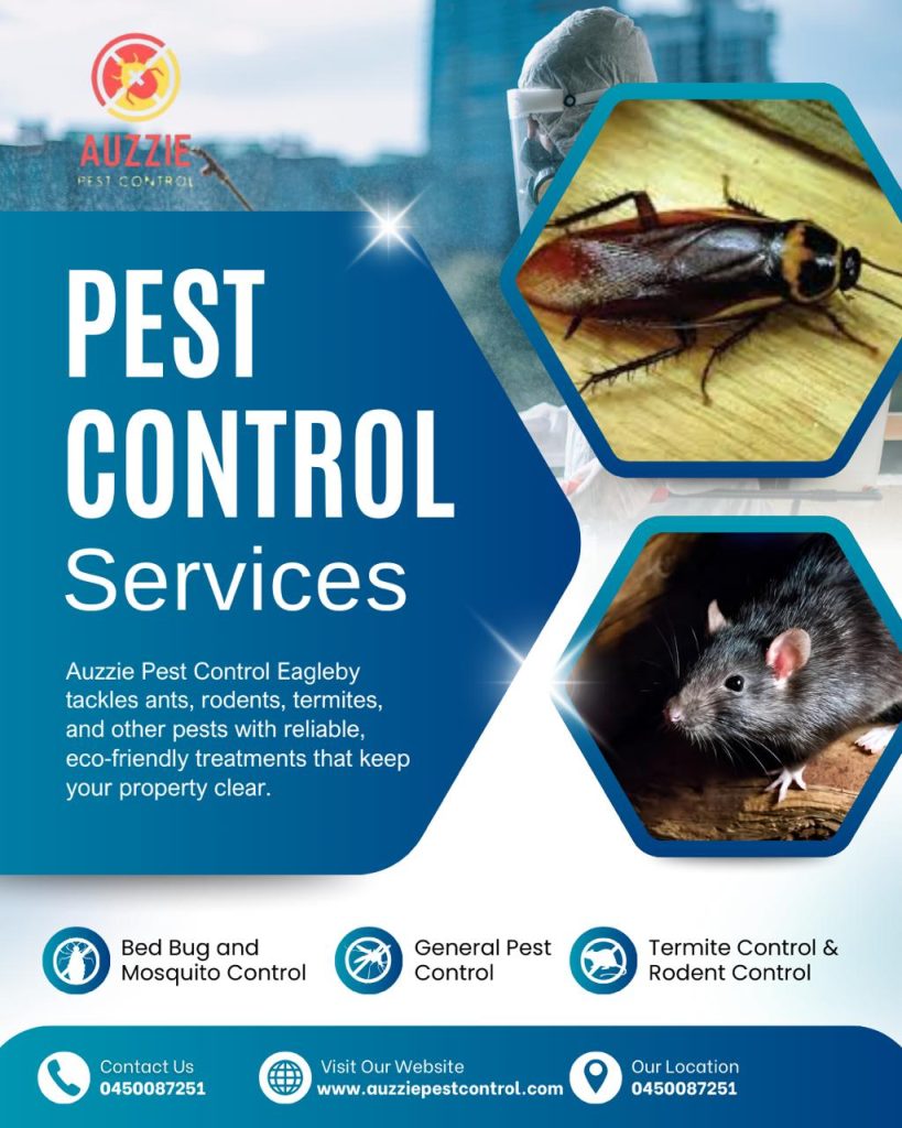 Reliable Pest Control Services Eagleby