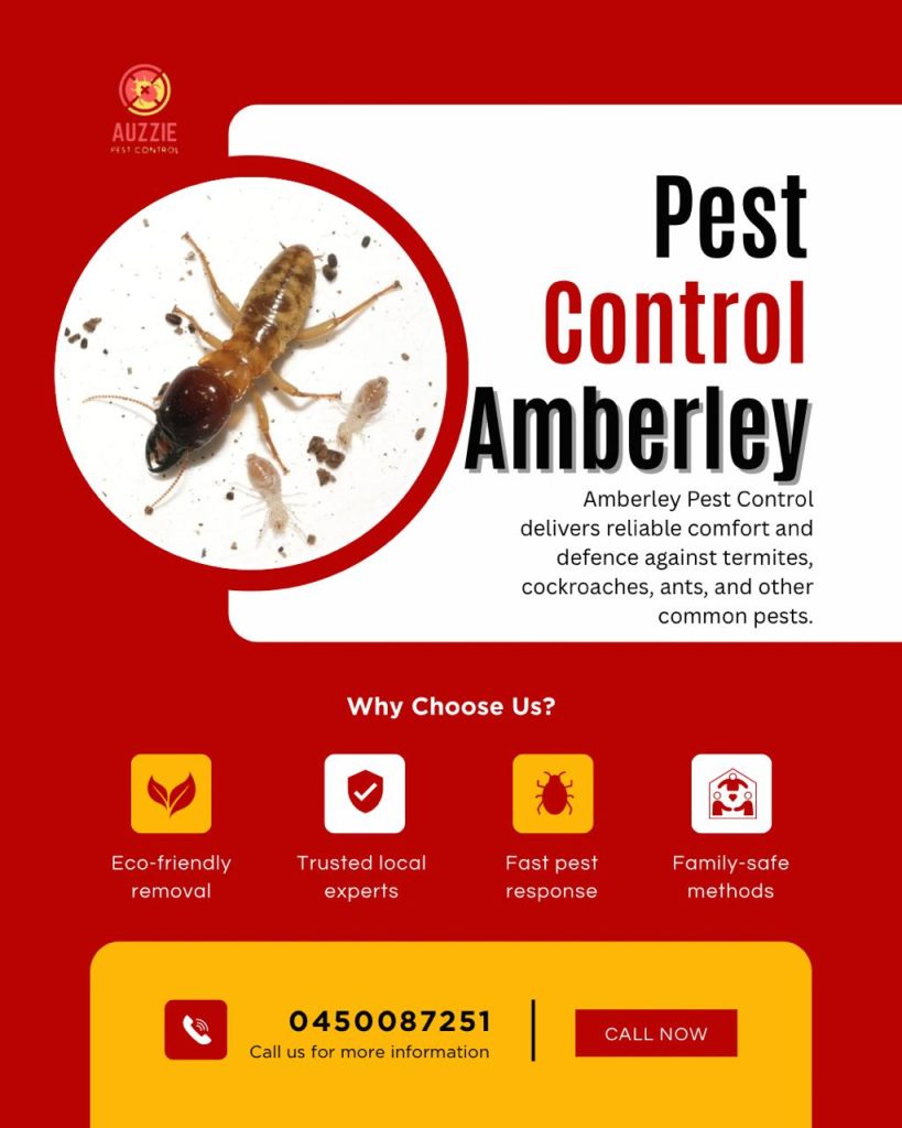 Pest Control Services in Amberley