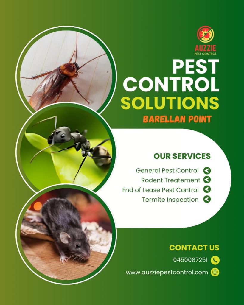 Pest Control Services in Barellan Point