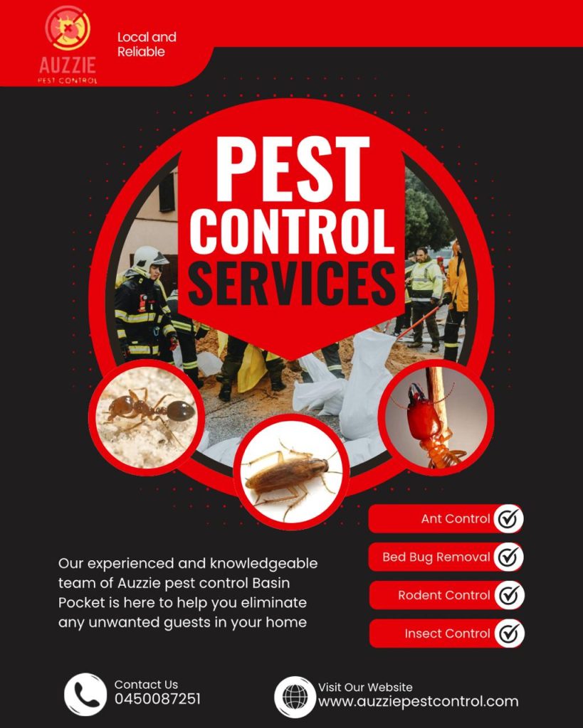 Pest Control Services in Basin Pocket
