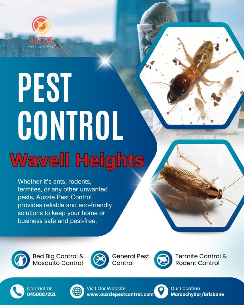 Pest Control Services Wavell Heights