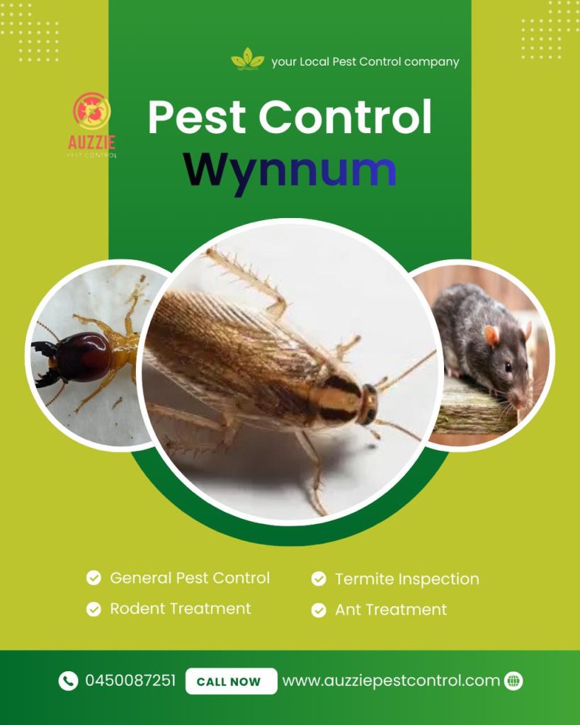 Pest Control Services Wynnum
