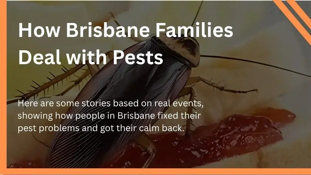 How Brisbane Families Dealt With Pests?