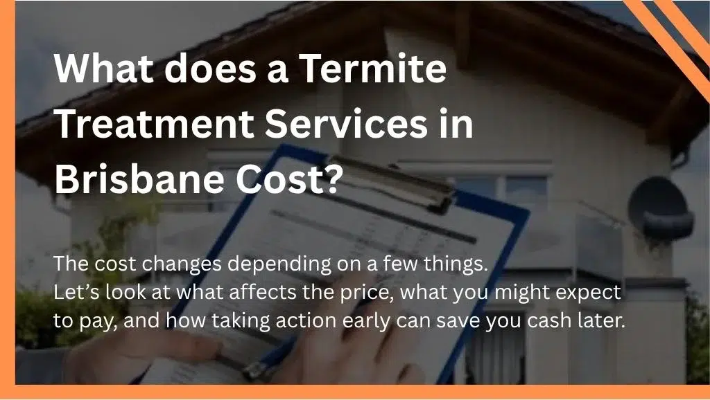 What does a Termite Treatment Services in Brisbane Cost?