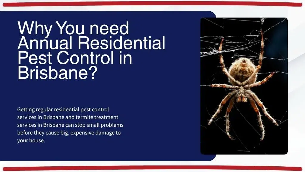 Why You need Annual Residential Pest Control in Brisbane?